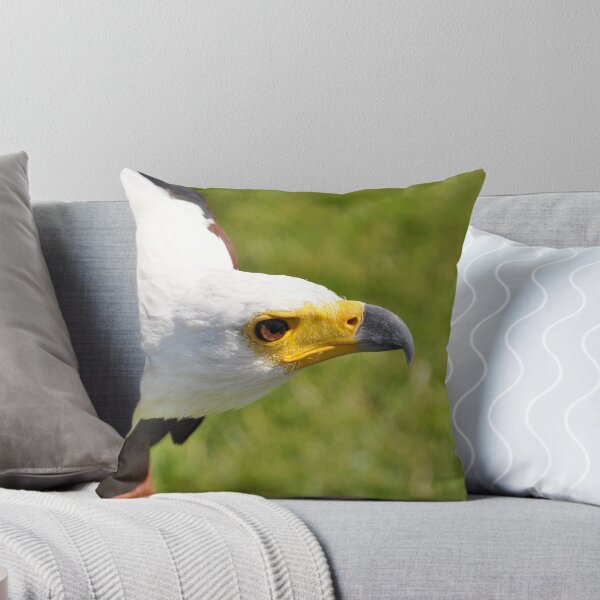 Item preview, Eagle designed and sold by Snogable.