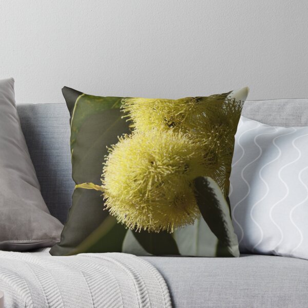Item preview, PomPoms Yellow Gum Blossom,Kalgoorlie W.A. designed and sold by robynart.
