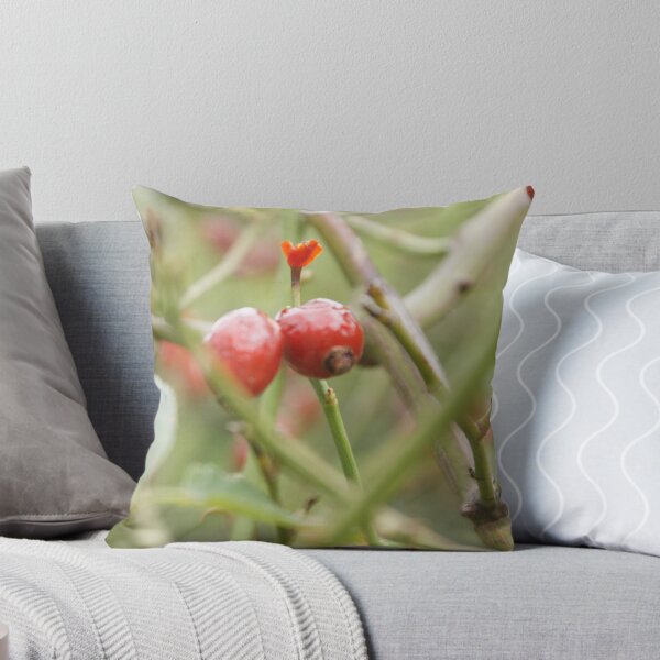 Item preview, Rosehip designed and sold by trishringe.