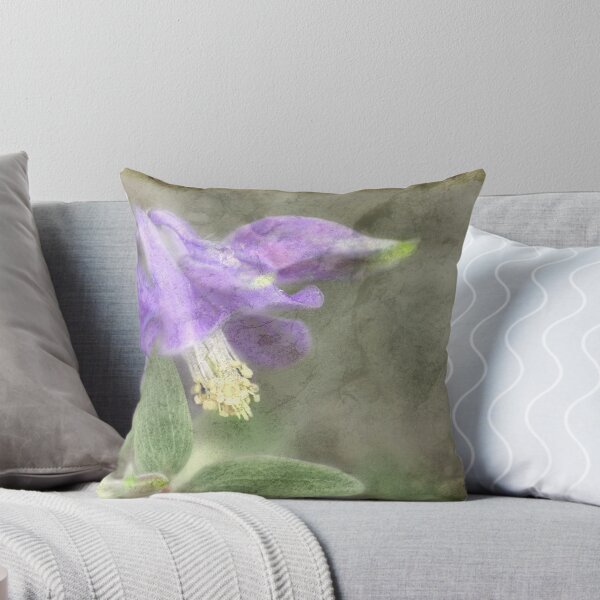 Item preview, Aguileña designed and sold by Darren Fisher.