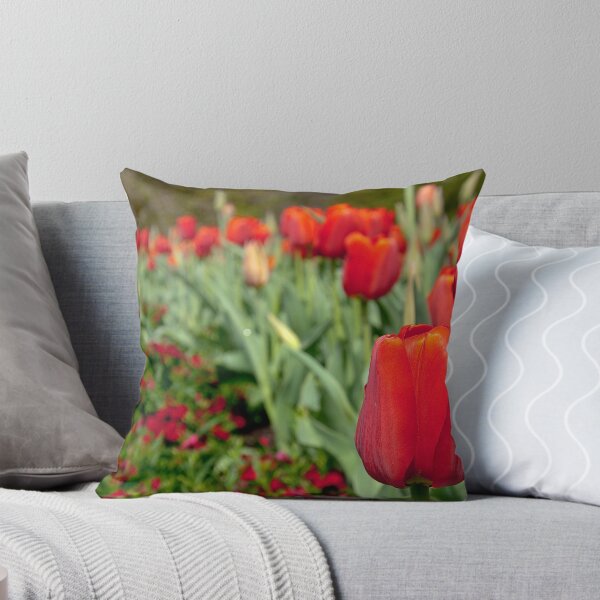 Item preview, Arc De Tulip - Longwood Gardens USA designed and sold by John Griggs.