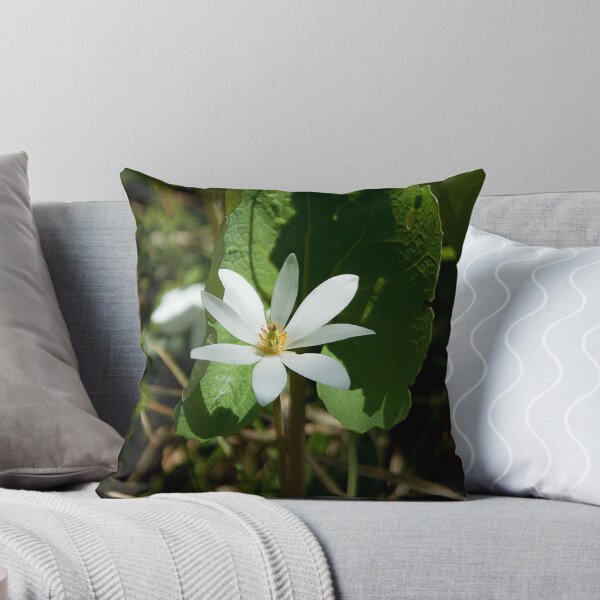 Item preview, Bloodroot designed and sold by Mike Oxley.