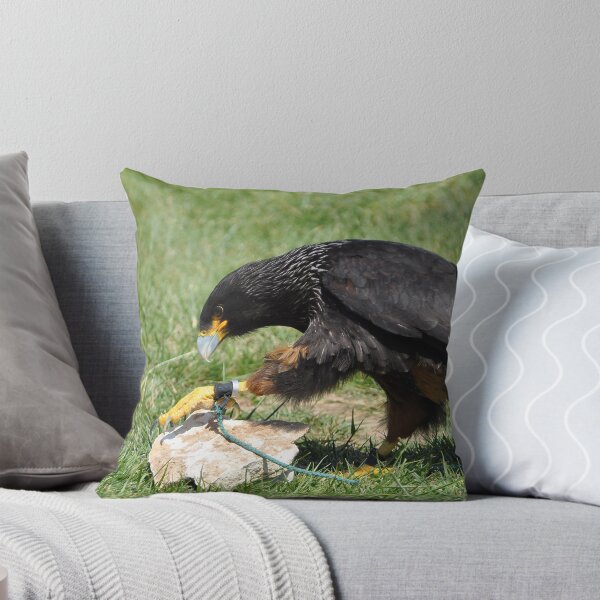 Item preview, Caracara  designed and sold by Snogable.
