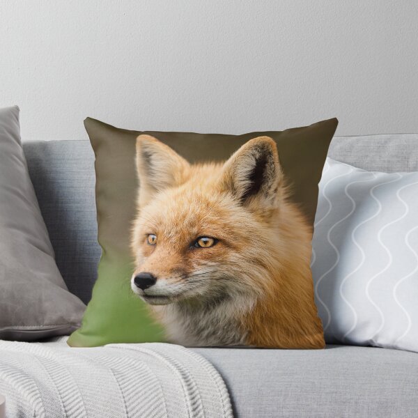 Item preview, Focus designed and sold by Jay Ryser.
