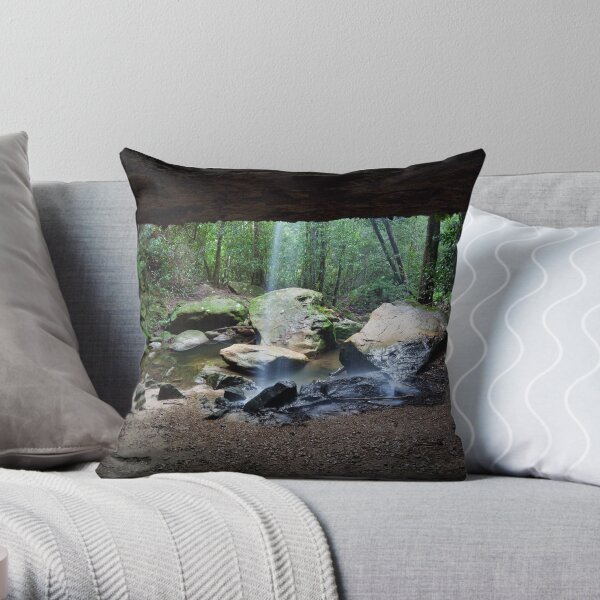 Behind the falls Throw Pillow
