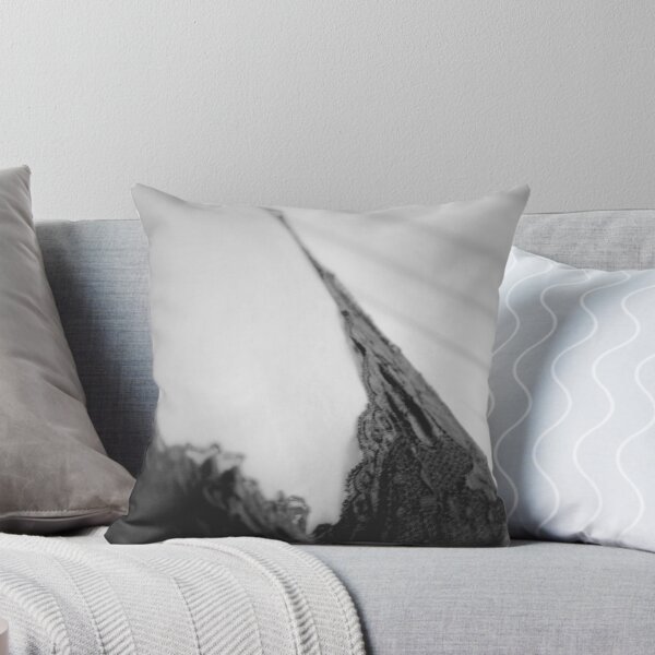 Item preview, A Woman's Worth designed and sold by diLuisa Photography.