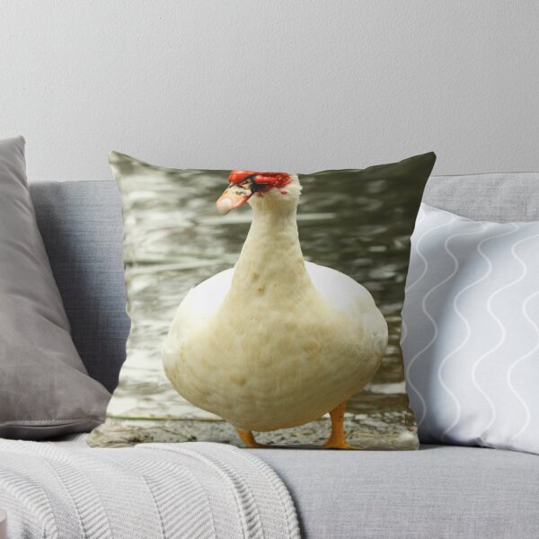 Item preview, Sorry designed and sold by Jerry Tingle - photofirst.