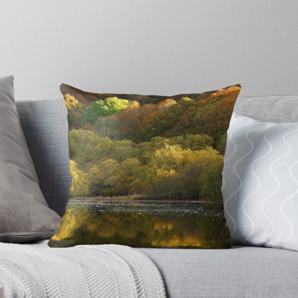 Item preview, Fire on the Cree, Wood of Cree, Dumfries and Galloway. designed and sold by Miffy.