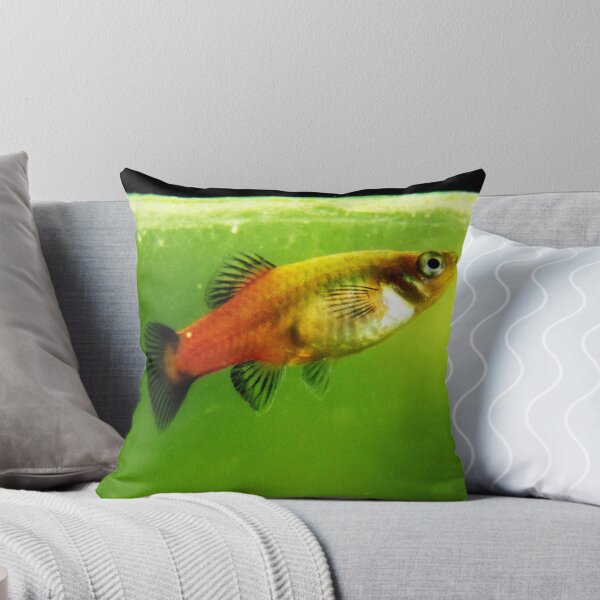 Artikelvorschau, Fishy entworfen und verkauft von illman.