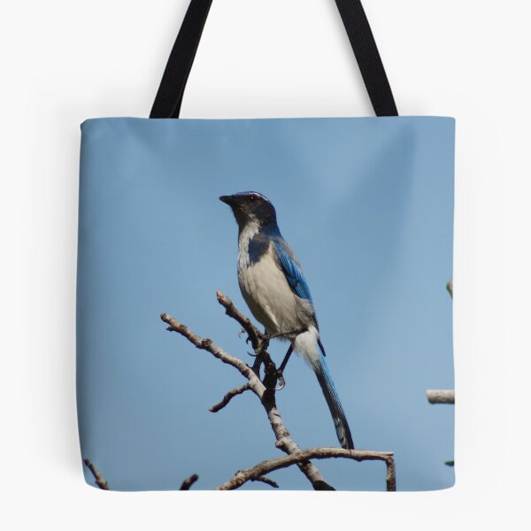 Aperçu de l'œuvre A Stellar Jay créée et vendue par Ajeet.