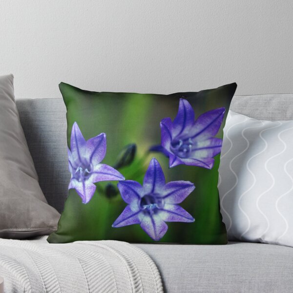 Item preview, Three Stars designed and sold by NEmens.