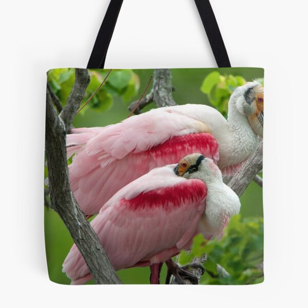 Item preview, Two Male Roseate Spoonbills designed and sold by Bonnie T. Barry.