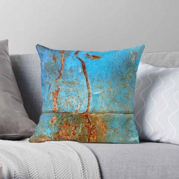 Reflections of the past Throw Pillow