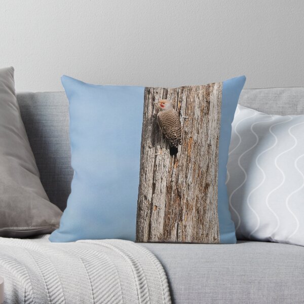 Flicker on a Pole Throw Pillow