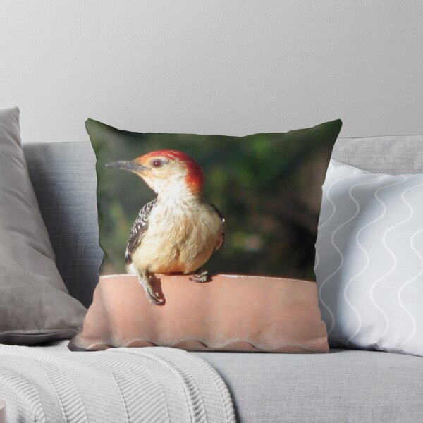 Item preview, Woody, The Red Bellied Woodpecker designed and sold by DottieDees.