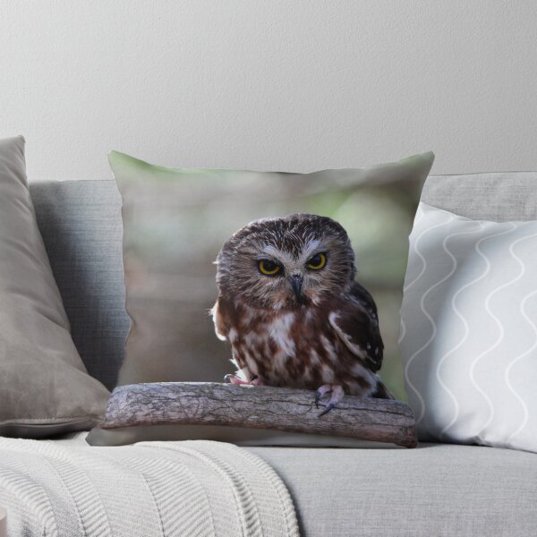 Item preview, Luna the Saw-Whet Owl designed and sold by Nancy Barrett.