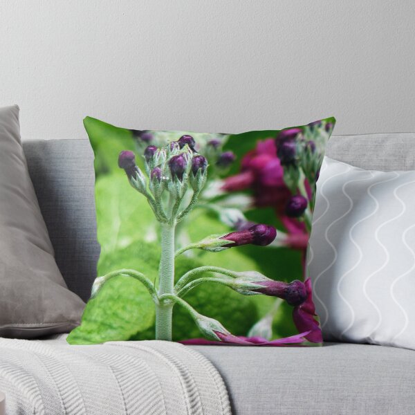 Item preview, Wicked little Primula1 designed and sold by artfulvistas.