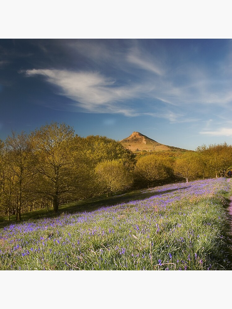 The Bluebells at Roseberry Topping by tontoshorse