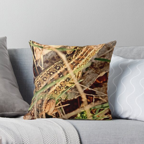 Item preview, Sand Lizard Lacerta agilis designed and sold by pogomcl.