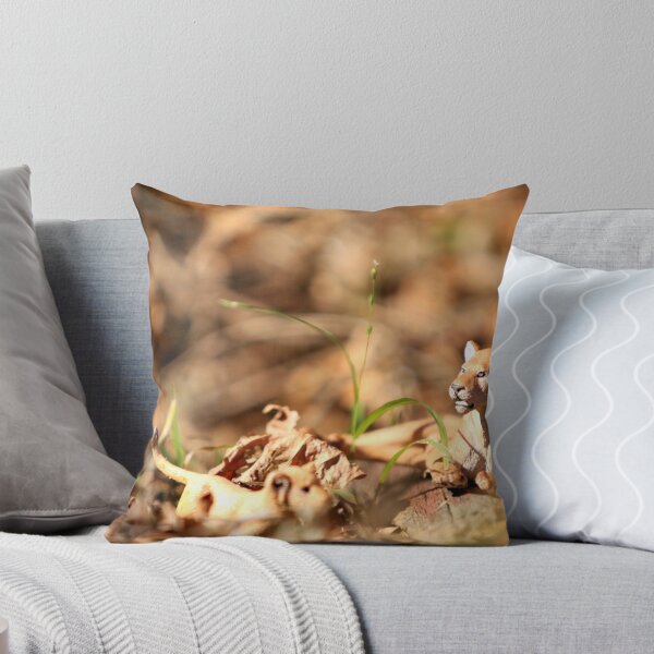 Item preview, lying in the grass... designed and sold by Anthony Langlois.