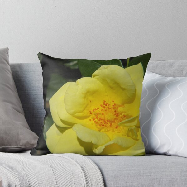 Item preview, Showing Off designed and sold by Jaclyn Hughes.