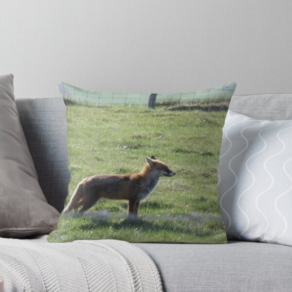 Item preview, Focused designed and sold by Gerry  Temple.