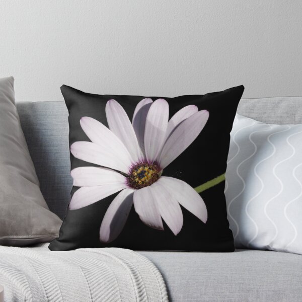Item preview, Rain Daisy designed and sold by Ian Sanders.