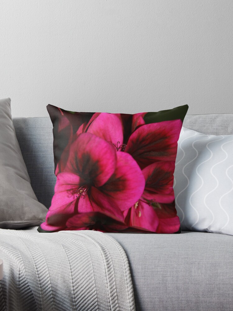 Fuschia throw hot sale pillow