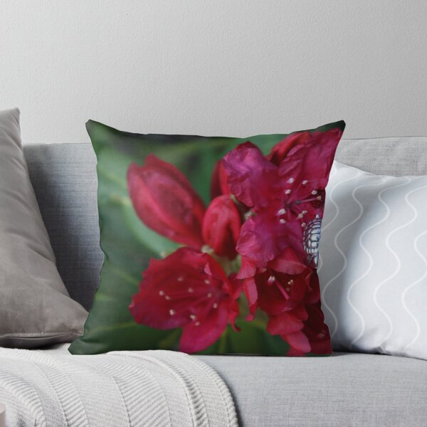 Item preview, A Lovely Lucky Turtle designed and sold by Erika Townsley.