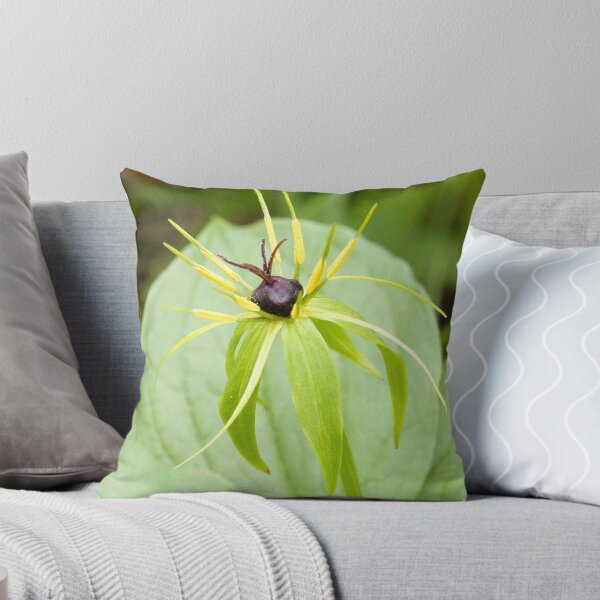 Item preview, Herb Paris designed and sold by Roantrum.