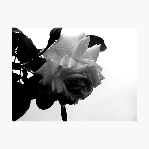 Item preview, Dripping with Life designed and sold by Kristin Warner.