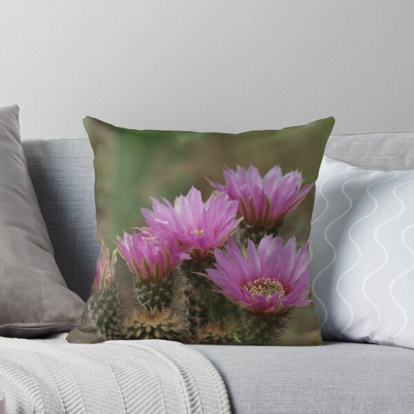 Aperçu de l'œuvre Echinocereus reichenbachii créée et vendue par TxGimGim.