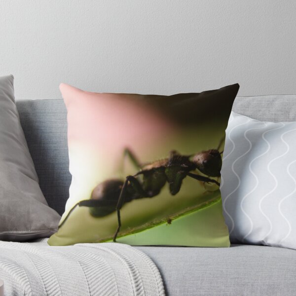 Item preview, ant designed and sold by Craig Shedden.
