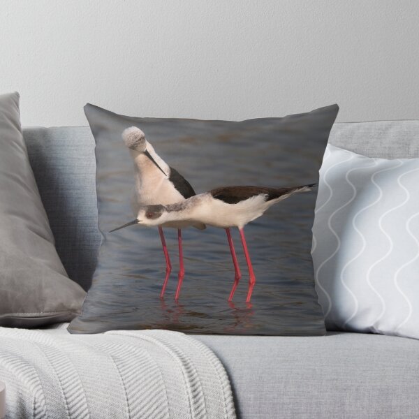 Courtship Behaviour Throw Pillow