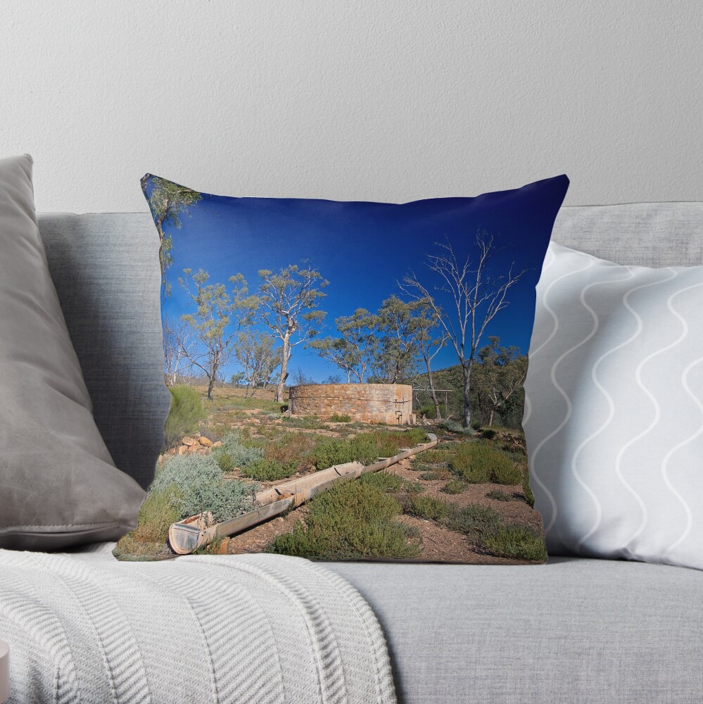 Item preview, Throw Pillow designed and sold by RICHARDW.