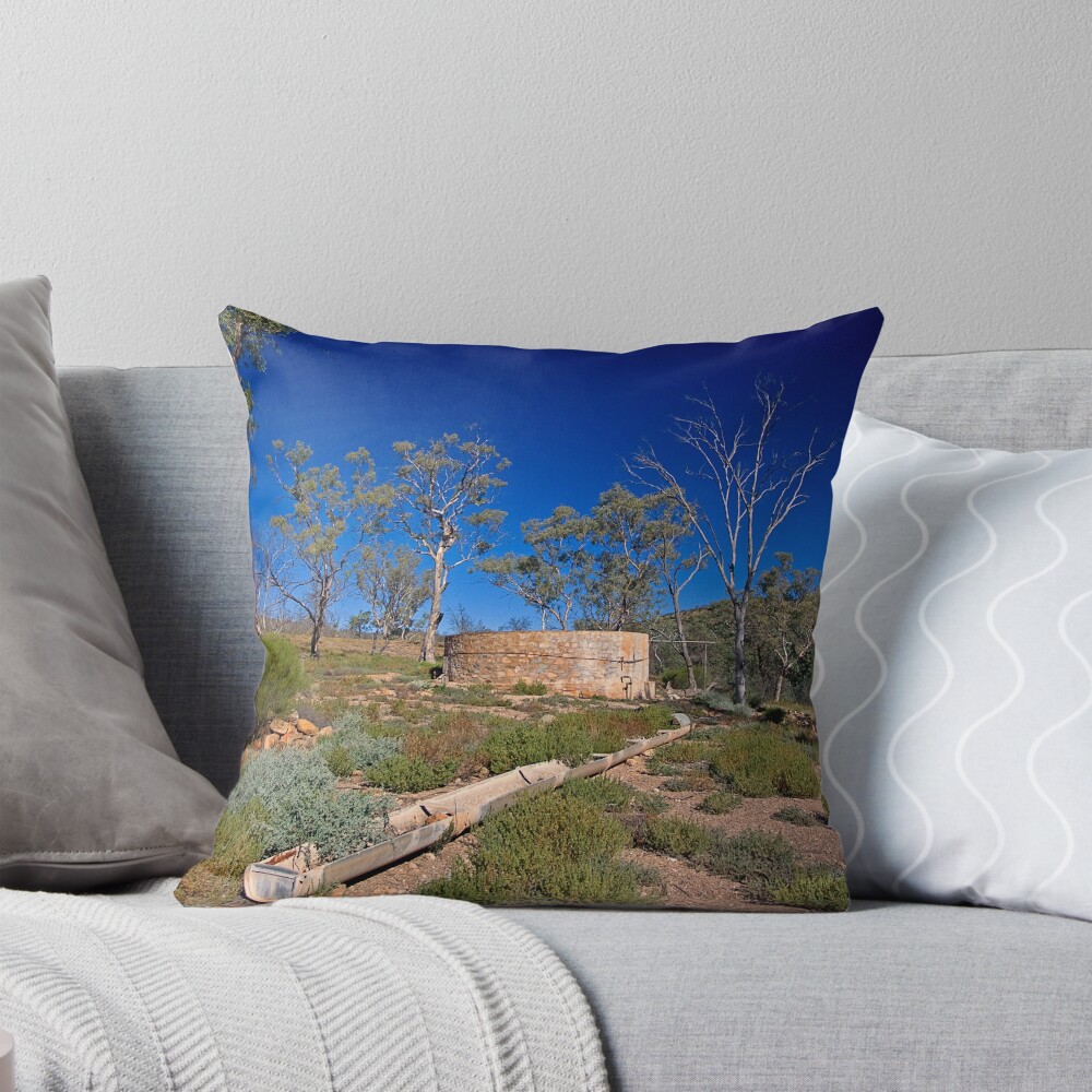 Item preview, Throw Pillow designed and sold by RICHARDW.
