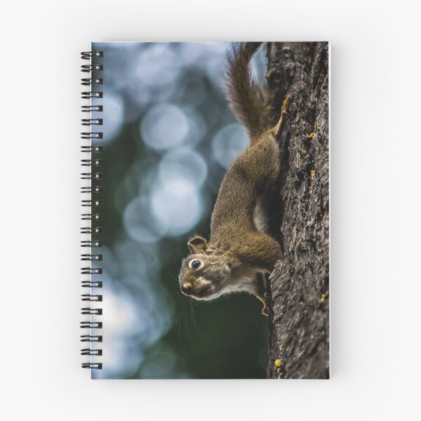 Item preview, Squirrel on Tree designed and sold by Joel Hunter.