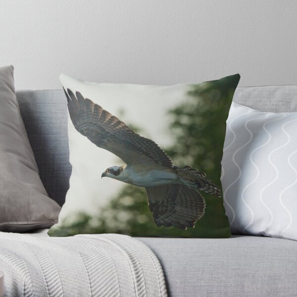 Early Morning Flight Throw Pillow