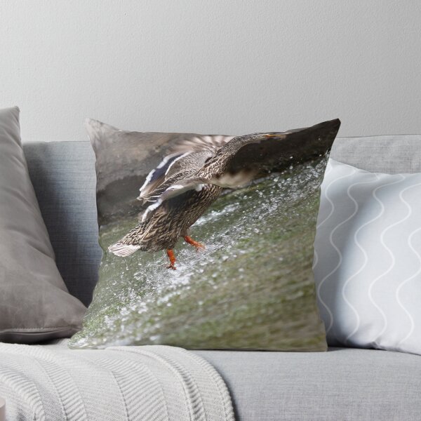 Item preview, Mallard against 45 degree angle of water. designed and sold by Erik Anderson.