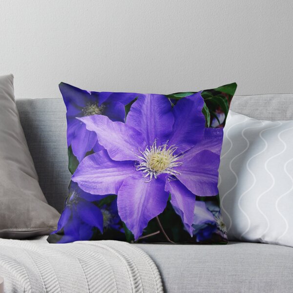 Item preview, Clematis designed and sold by BillK.