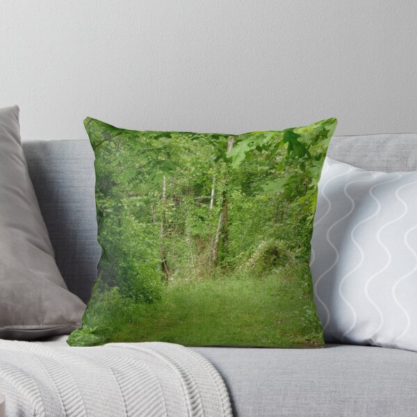 Item preview, secret path designed and sold by DarylE.