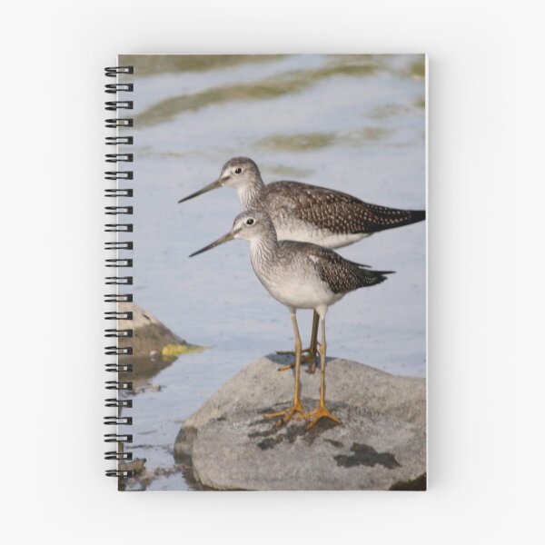 Item preview, Pair of Lesser Yellow Legs.. designed and sold by Larry Trupp.