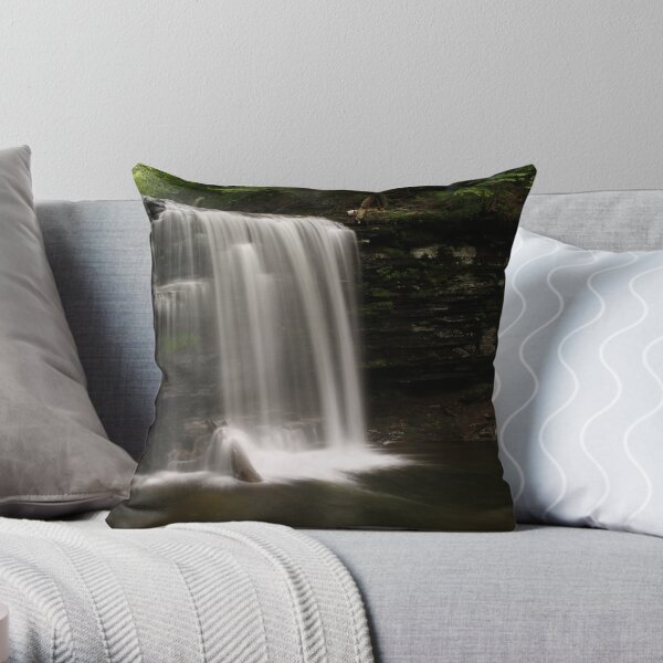 Harrison Wright Waterfalls-Ricketts Glen State Park Throw Pillow