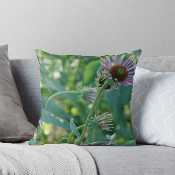 Item preview, Cone Flower Garden designed and sold by Angie11.