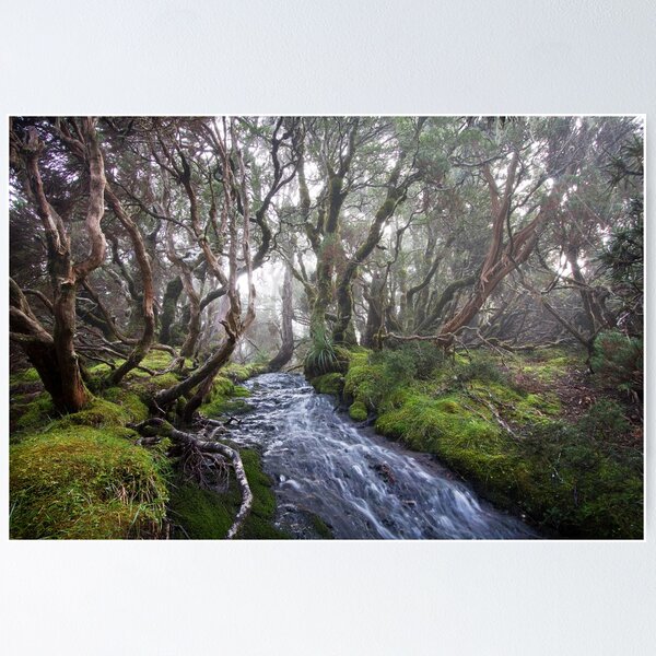 Item preview, Myrtle Forest designed and sold by Mike Calder.
