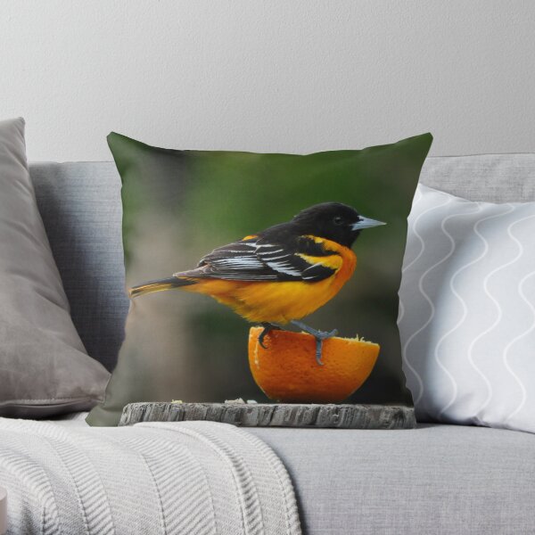 A Sweet Treat Throw Pillow