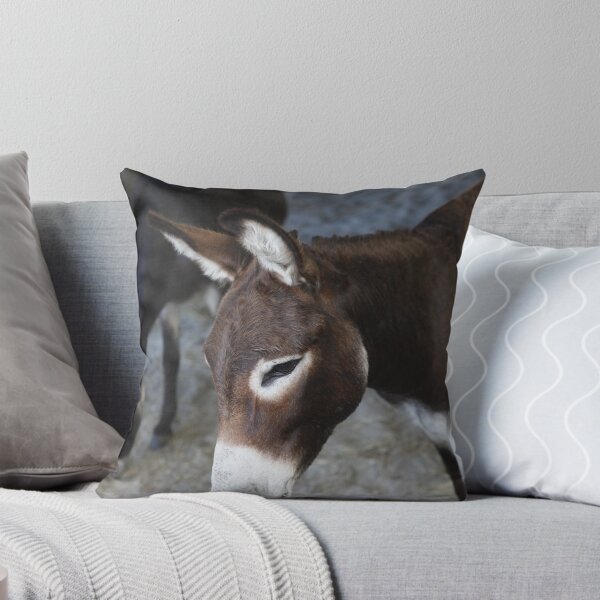 Item preview, Donkey designed and sold by AlexKokas.