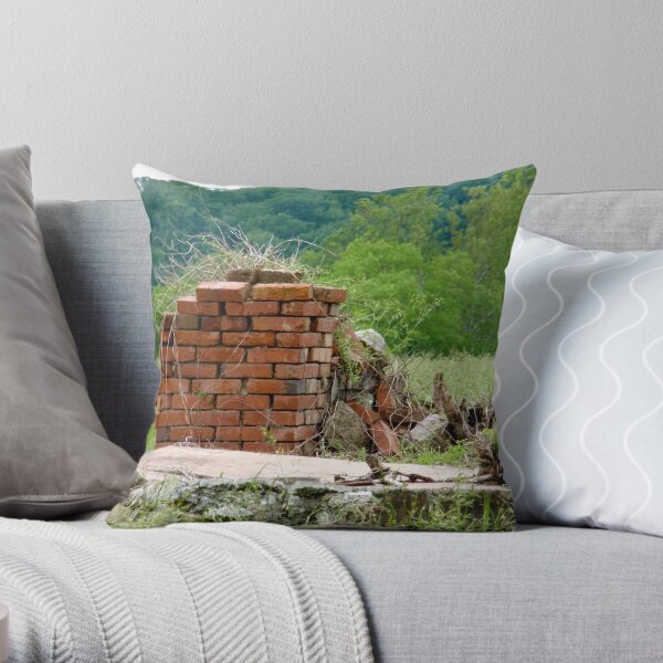 Huff'd Puff'd Blow'd the House Down Throw Pillow