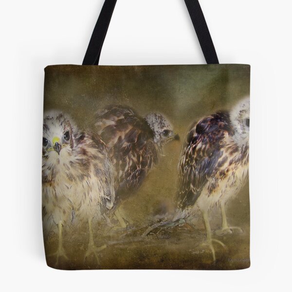 Item preview, Redtail Hawk Babies designed and sold by kayzsqrlz.