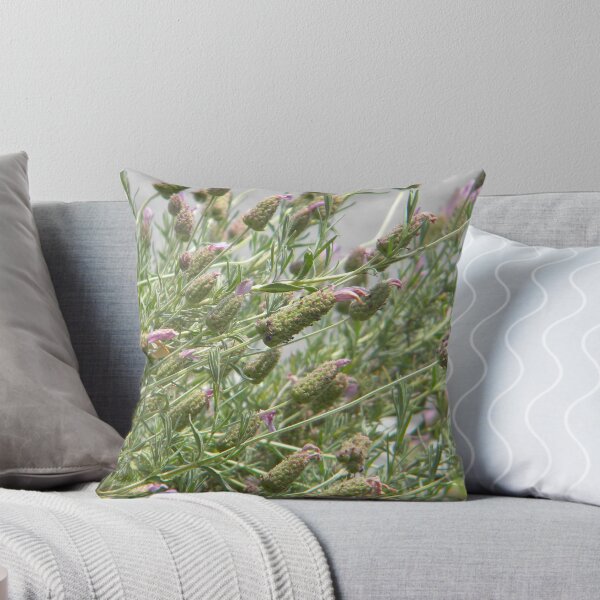 Item preview, English Lavender designed and sold by Jaclyn Hughes.